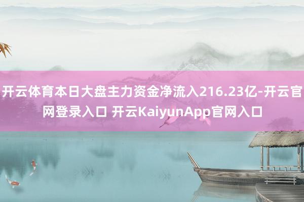 开云体育本日大盘主力资金净流入216.23亿-开云官网登录入口 开云KaiyunApp官网入口