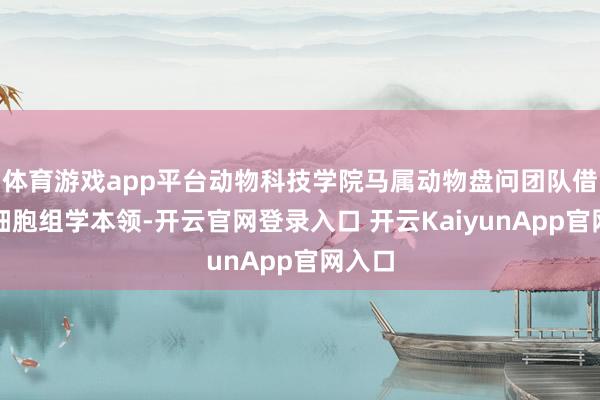 体育游戏app平台动物科技学院马属动物盘问团队借助单细胞组学本领-开云官网登录入口 开云KaiyunApp官网入口