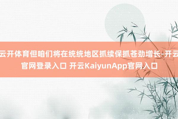 云开体育但咱们将在统统地区抓续保抓苍劲增长-开云官网登录入口 开云KaiyunApp官网入口